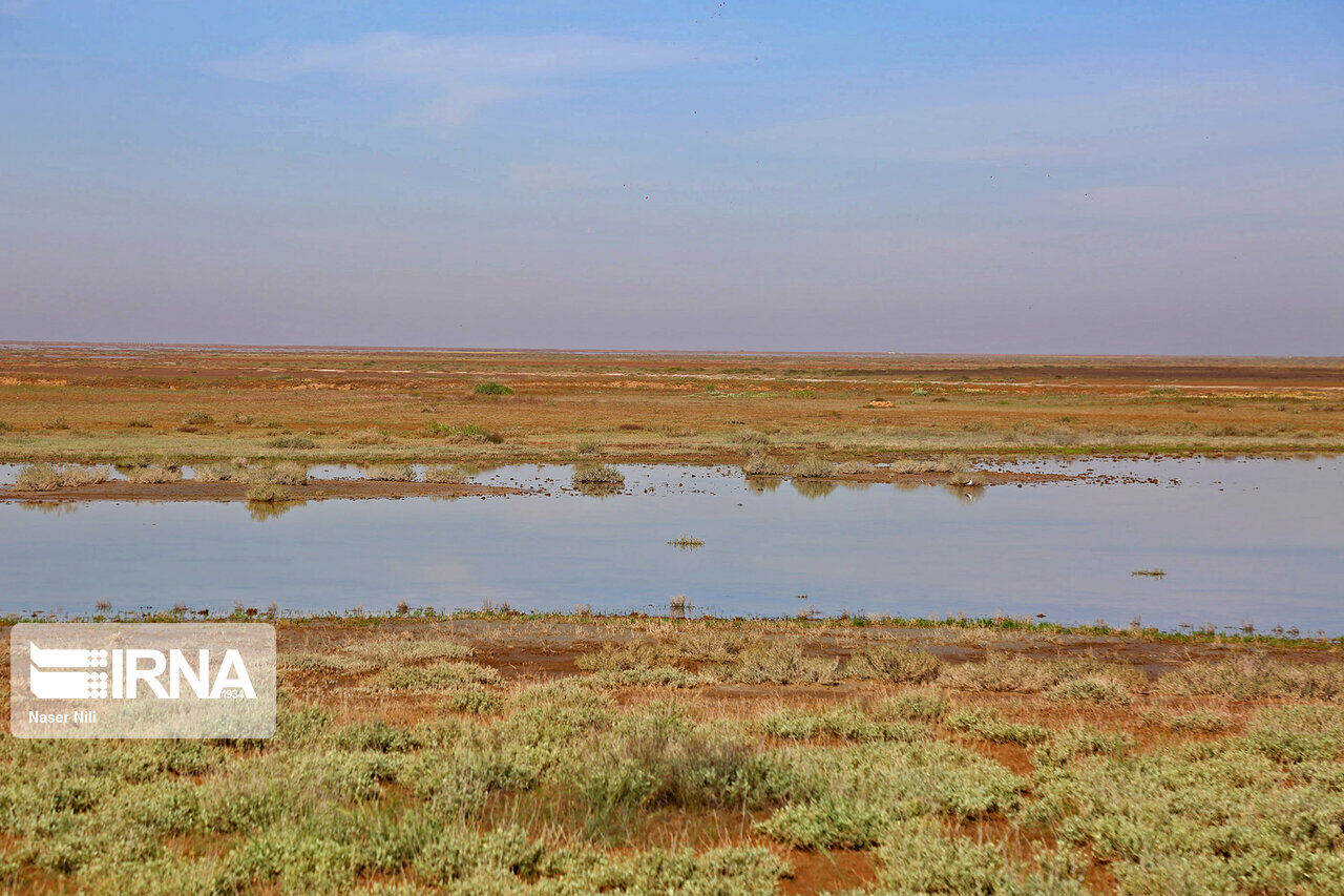 هفت درصد از تالاب گاوخونی اصفهان مرطوب شده است