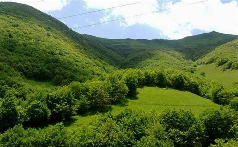 جنگل‌های استان اردبیل در معرض خطر