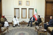 Iran, Niger have major capacity to expand ties: FM Amirabdollahian