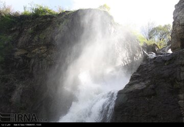 گونه‌ جدید آبزی شیرنومیده در آبشار شلماش کشف شد