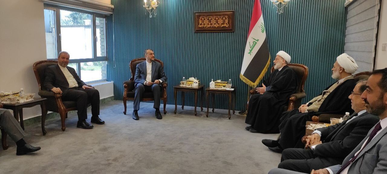 وزیر امور خارجه با رئیس مجلس اعلای اسلامی عراق دیدار کرد