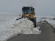 بیش از ۲ هزار کیلومتر برف روبی در محورهای کردستان انجام شد