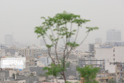 هوای آلوده به کلانشهر مشهد بازگشت