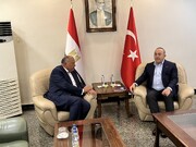 دیدار وزرای خارجه مصر و ترکیه در «آدانا»