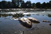 La France frappée par une sécheresse hivernale