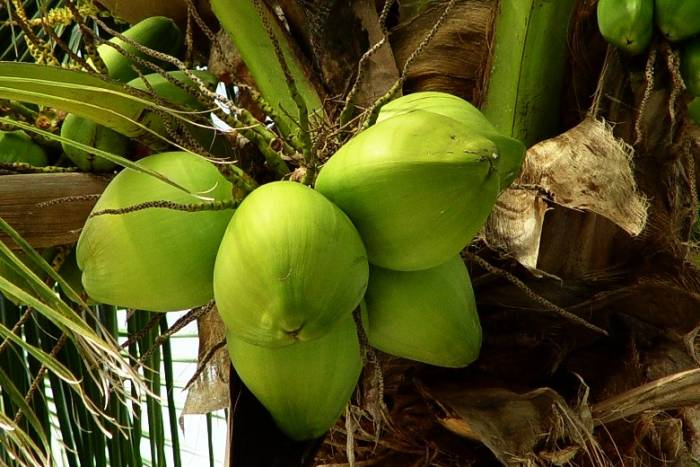 با سوغاتی استانهای مختلف ایران زمین آشنا شوید