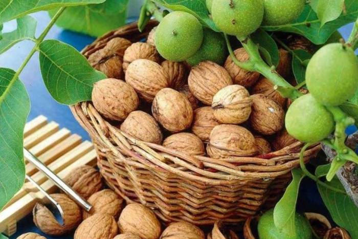 با سوغاتی استانهای مختلف ایران زمین آشنا شوید