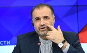 Посол Ирана в России считает, что ШОС и БРИКС должны двигаться к созданию единой валюты