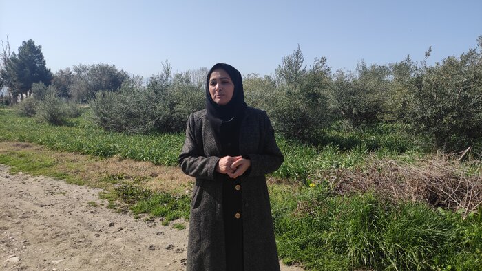 ایجاد بزرگترین باغ گل نرگس ایران با «تصمیم کبری»