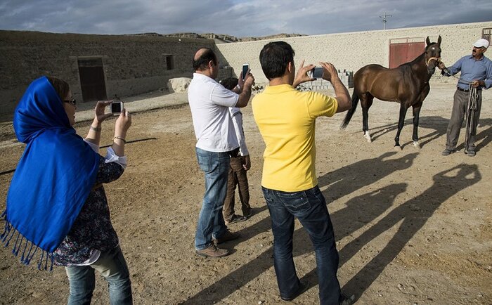تلاش با رنگی از نجابت در زندگی بانوی جرگلانی