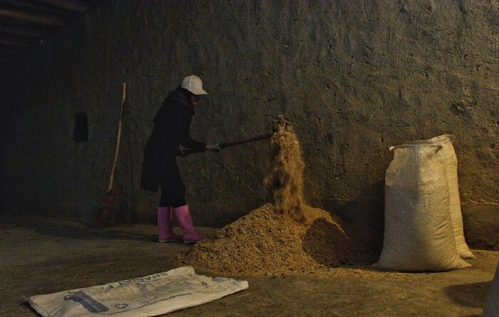 تلاش با رنگی از نجابت در زندگی بانوی جرگلانی