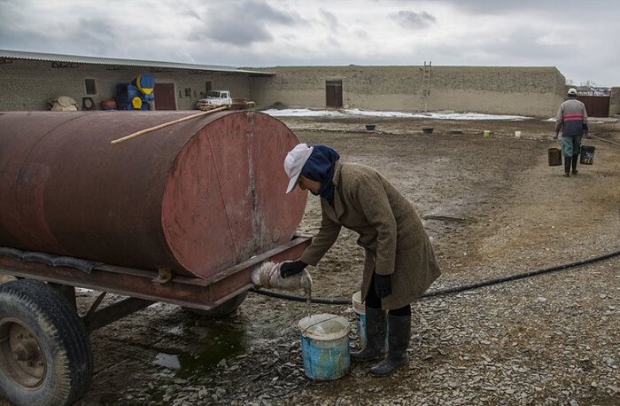 تلاش با رنگی از نجابت در زندگی بانوی جرگلانی