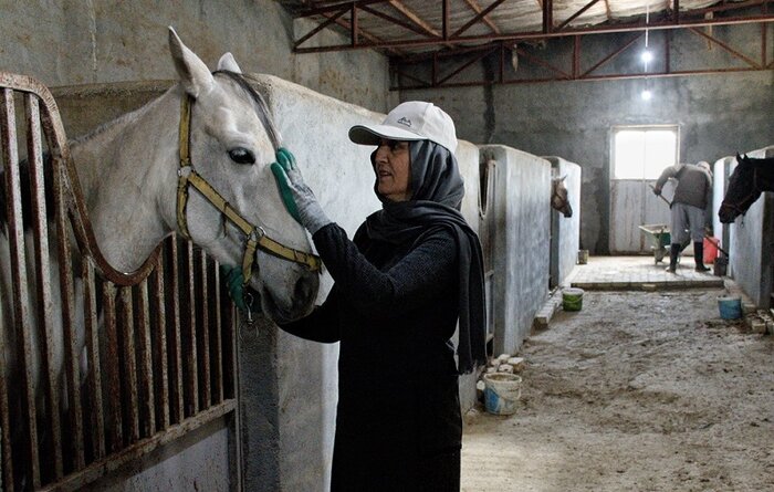 تلاش با رنگی از نجابت در زندگی بانوی جرگلانی