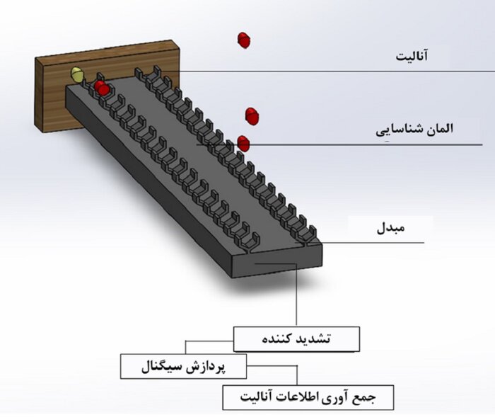 استاد دانشگاه تربتحیدریه: نانو الکترومکانیک دقت تشخیص بیماریها را افزایش داد