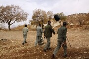 پویش درختکاری خانوادگی در "دشتکِ" "سی سخت" برگزار شد