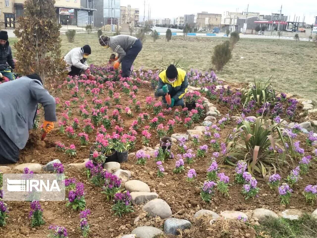 شهرداری ورامین به استقبال بهار رفت