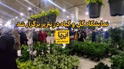فیلم | نمایشگاه گل و گیاه در تبریز 