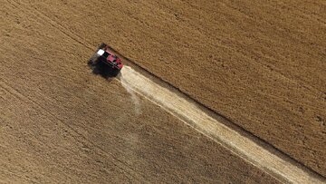 مشارکت آمریکا برای تقویت بخش کشاورزی و تولید غلات اوکراین