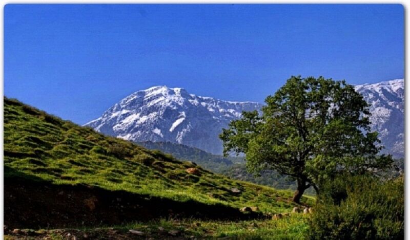 سایه روشن های صیانت از محیط زیست در باشت کهگیلویه و بویراحمد