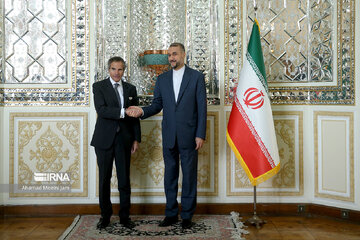 La rencontre entre le ministre iranien des Affaires étrangères et le directeur général de l'AIEA