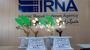 اختتامیه جشنواره رسانه و منابع طبیعی کردستان؛ ایرنا ۷ عنوان برتر را کسب کرد