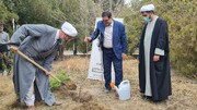 امام جمعه سمنان: کاشت درخت عبادت و اقدامی ماندگار برای نسل‌های آینده است