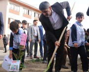 غرس ۱۸ هزار اصله نهال در مدارس گیلان آغاز شد