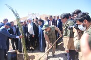 استاندار کرمان: معادن باید معادل ۲۰ درصد عرصه‌های معدنی را درخت بکارند