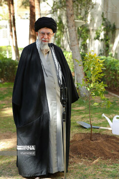 Supreme Leader plants sapling national Arbor Day