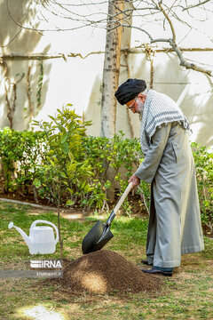 Supreme Leader plants sapling national Arbor Day