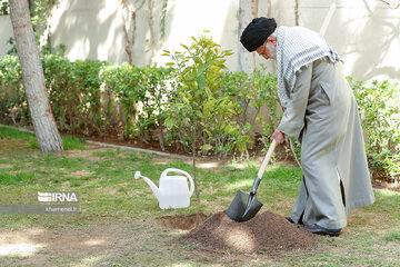 Supreme Leader plants sapling national Arbor Day