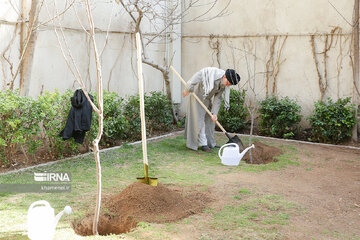 Supreme Leader plants sapling national Arbor Day