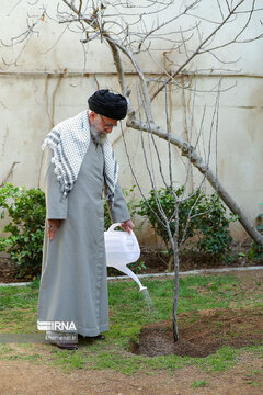 Supreme Leader plants sapling national Arbor Day