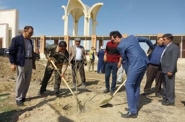 توزیع ۶۱ هزار اصله نهال رایگان بین مرزنشینان مراوه‌تپه آغاز شد