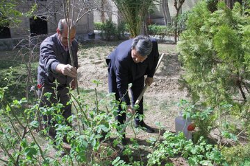 درختی که به یاد رسول ملاقلی‌پور کاشته شد