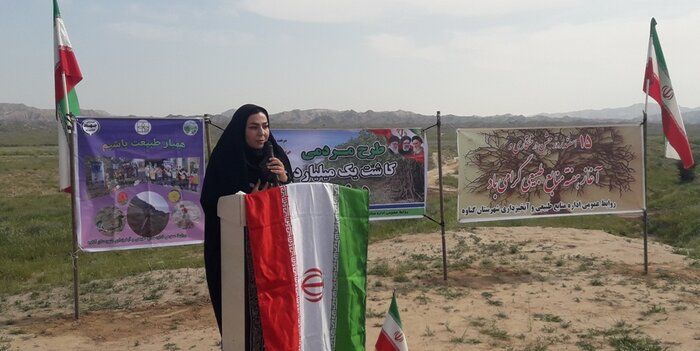 ۵۰۰ نهال در مراتع روستای فخرآوری گناوه کاشته شد