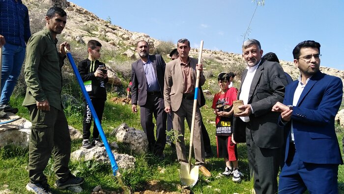 نهال کاری در ۴۵ هکتار از اراضی ملی گچساران انجام شد