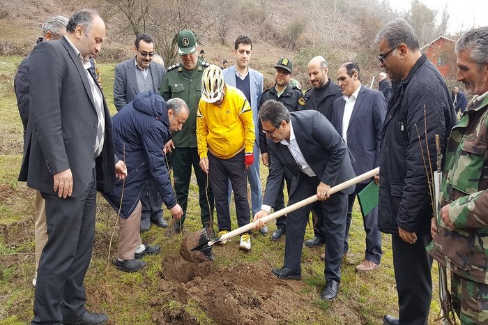 ۶۰ اصله نهال در آستارا کاشته شد