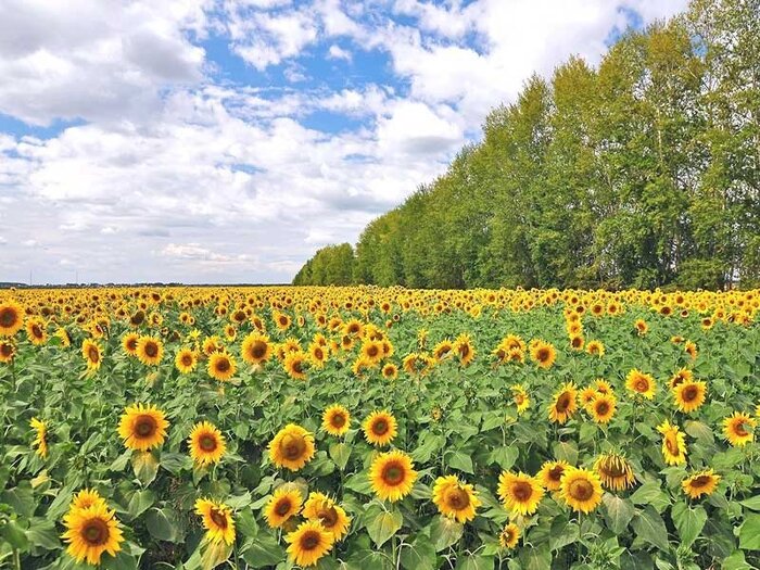 سفر به گذشته و خاطرهآفرینی در روستاهای بکر خراسانشمالی
