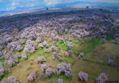 احداث کمربندی شرقی و تمهیدات برای آبرسانی به باغستان سنتی قزوین