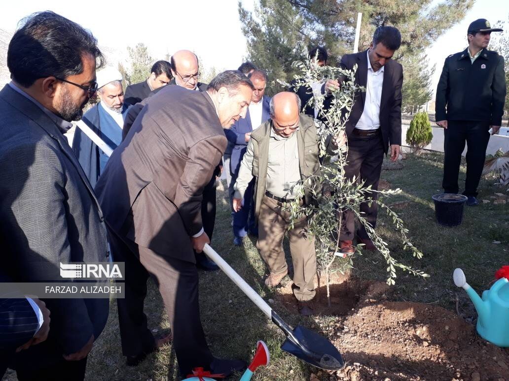 ایجاد کمربند سبز از پل زائر تا نقطه صفر مرزی در مهران 