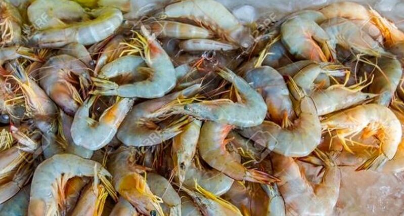 Iran sets target to produce 160k tons of shrimp per year