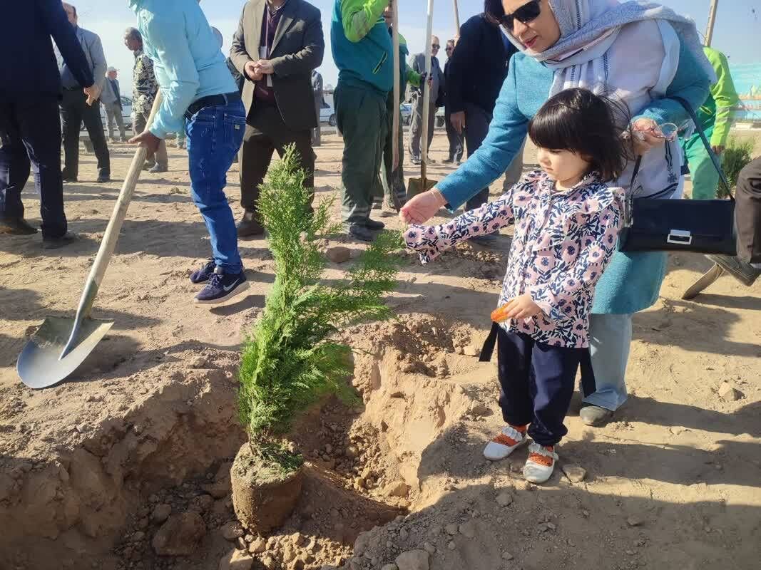 نفس تازه جنگل‌های لرستان با تولد ۳۰ میلیون اصله نهال