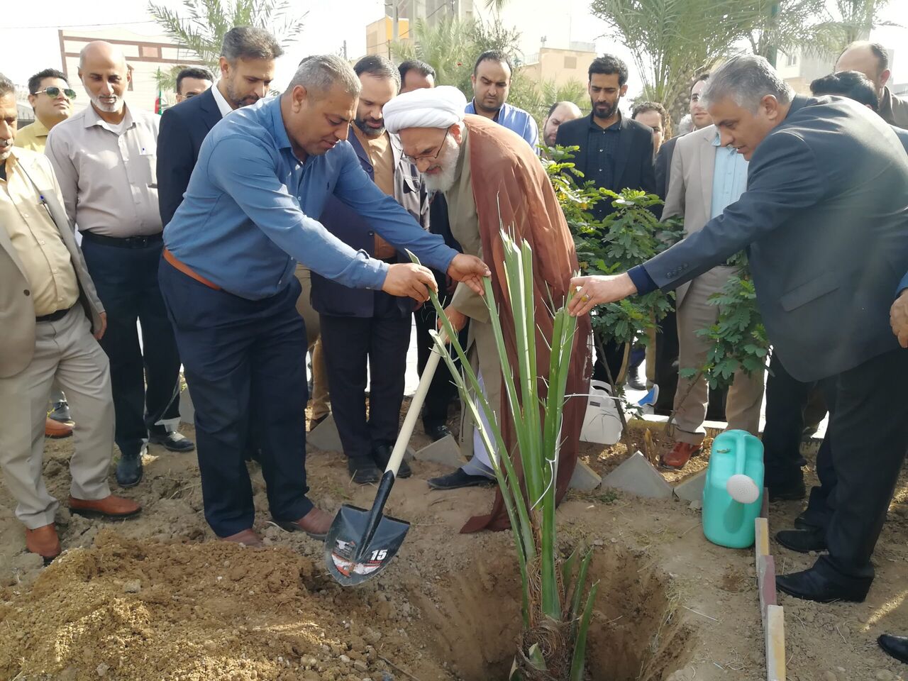 ۵۰۰ هزار نهال مثمر به آبادان اختصاص یافت