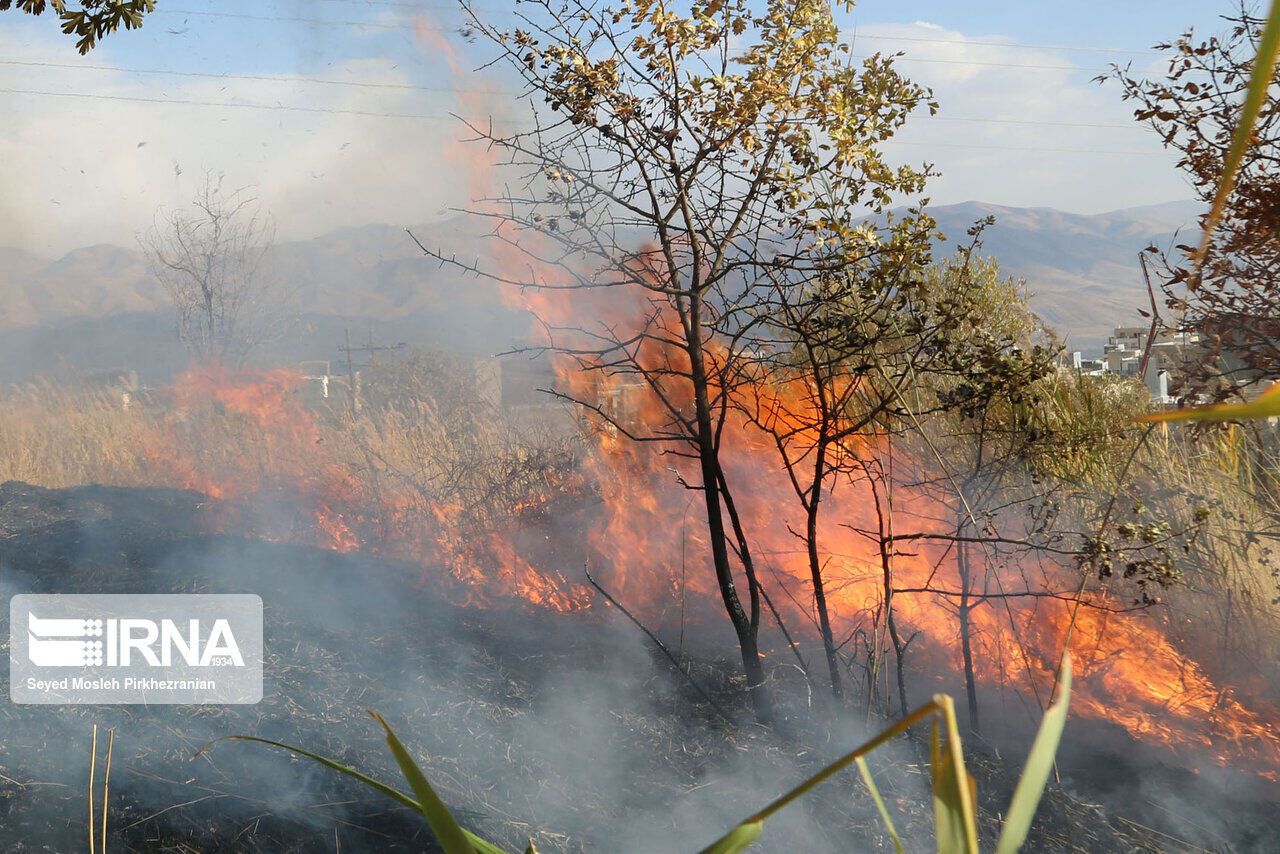 آتش‌سوزی دنباله‌دار در جنگل‌های گالیکش 