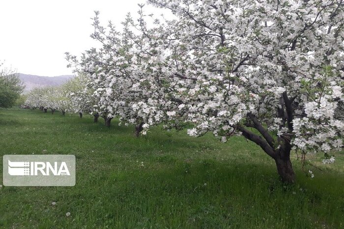 سفر به گذشته و خاطرهآفرینی در روستاهای بکر خراسانشمالی