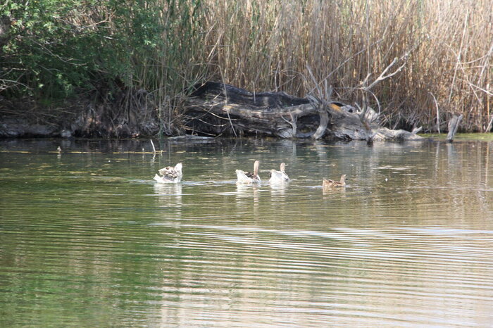 جاذبههای تفریحی آذربایجان غربی - چشمه ثریا در ماکو