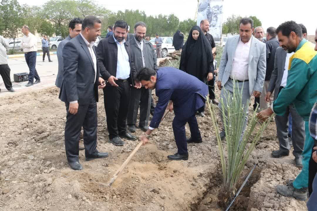 کاشت ۶۰۰ اصل نخل در آبادان آغاز شد