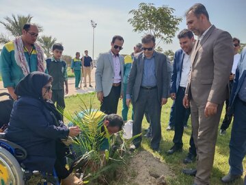 سرانه فضای سبز در بوشهر به ۶.۳ درصد رسید