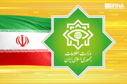 El Ministerio de Inteligencia de Irán finalizará la investigación sobre los problemas de salud de las escolares